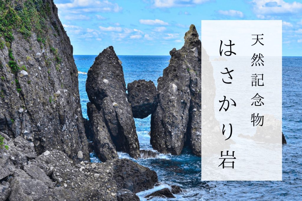 562b8750a5732eb7db381211655675